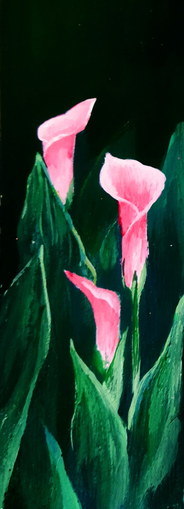 Morning Blossom
